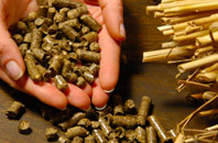 free Greeny biomass boiler quotes